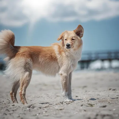 Auszeit * Fuhlendorf (Mecklenburg-Vorpommern)