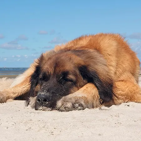 Auszeit * Fuhlendorf (Mecklenburg-Vorpommern)